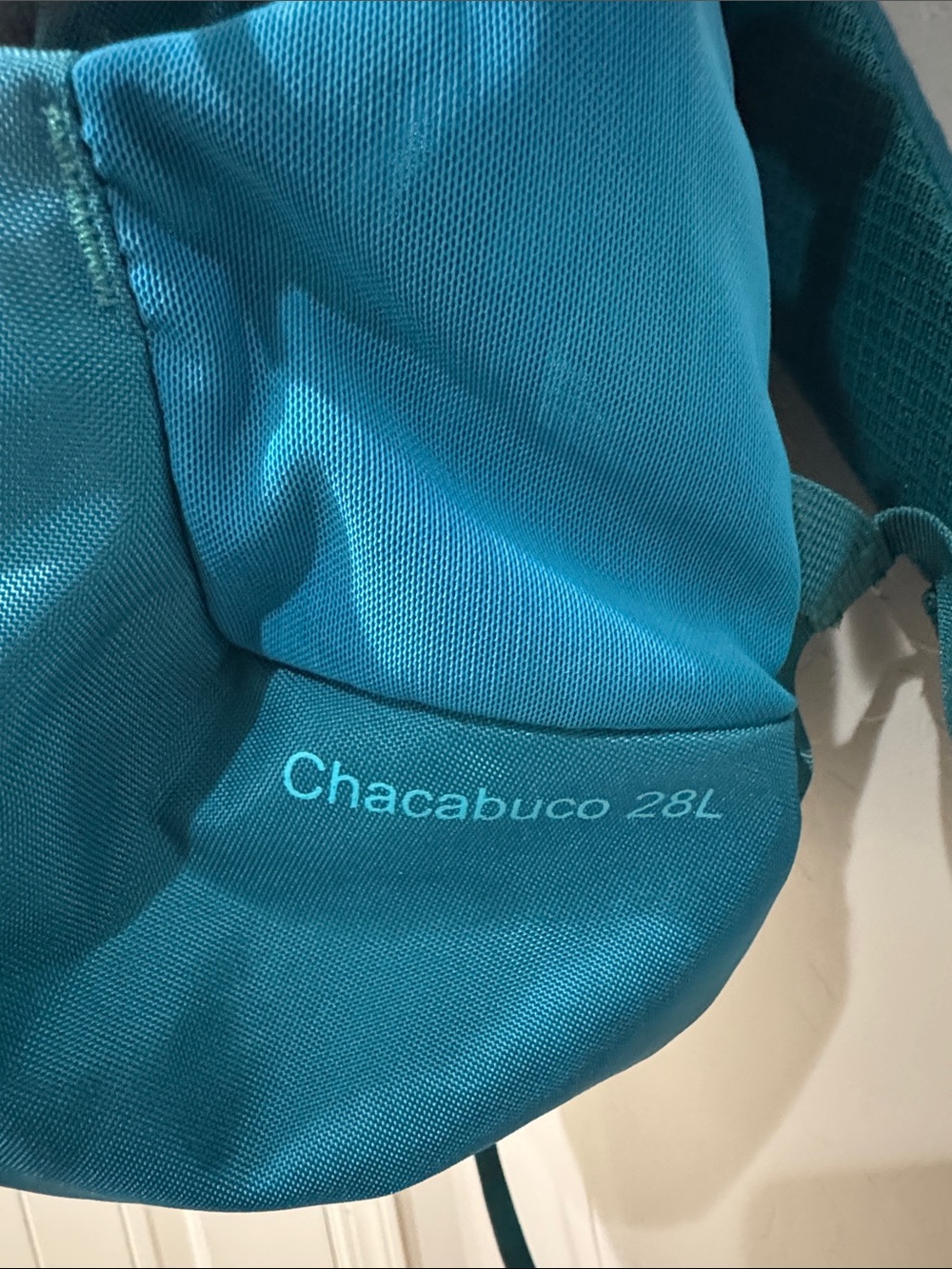 Patagonia Backpack - Picture 4 of 9